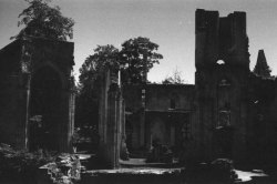 activitesparanormales:  Abbaye de Jumièges - june 2015Canon A1 50mm f1.4 - Expired 200asa C41 process color film developped with black and white chemicals. (recipe in another post)