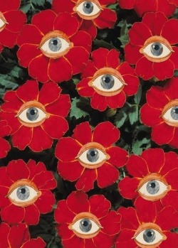 laurenrolwing:  Flower eyes, unable to find original source 