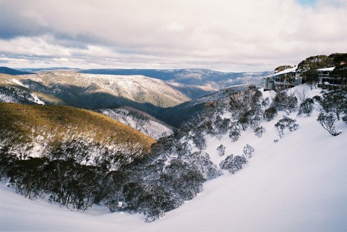 mthotham