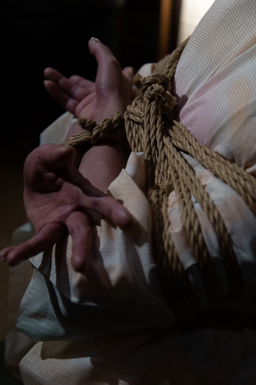 Shibari Naka AkiraModel AkanePhoto Orino