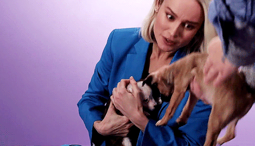 briee-larson: Brie Larson Plays With Puppies.