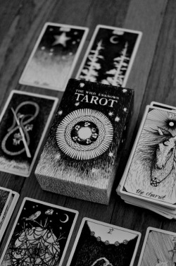 socialpsychopathblr:  Tarot cards 