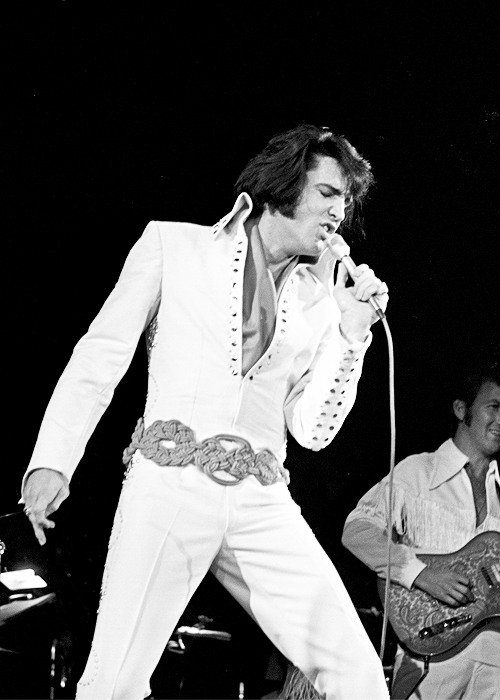 Porn Pics cursedbymusic:  Elvis 