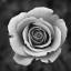 my-sad-world-of-black-and-white