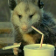 scragglypossums
