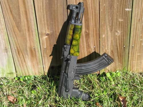 weaponslover:  Draco