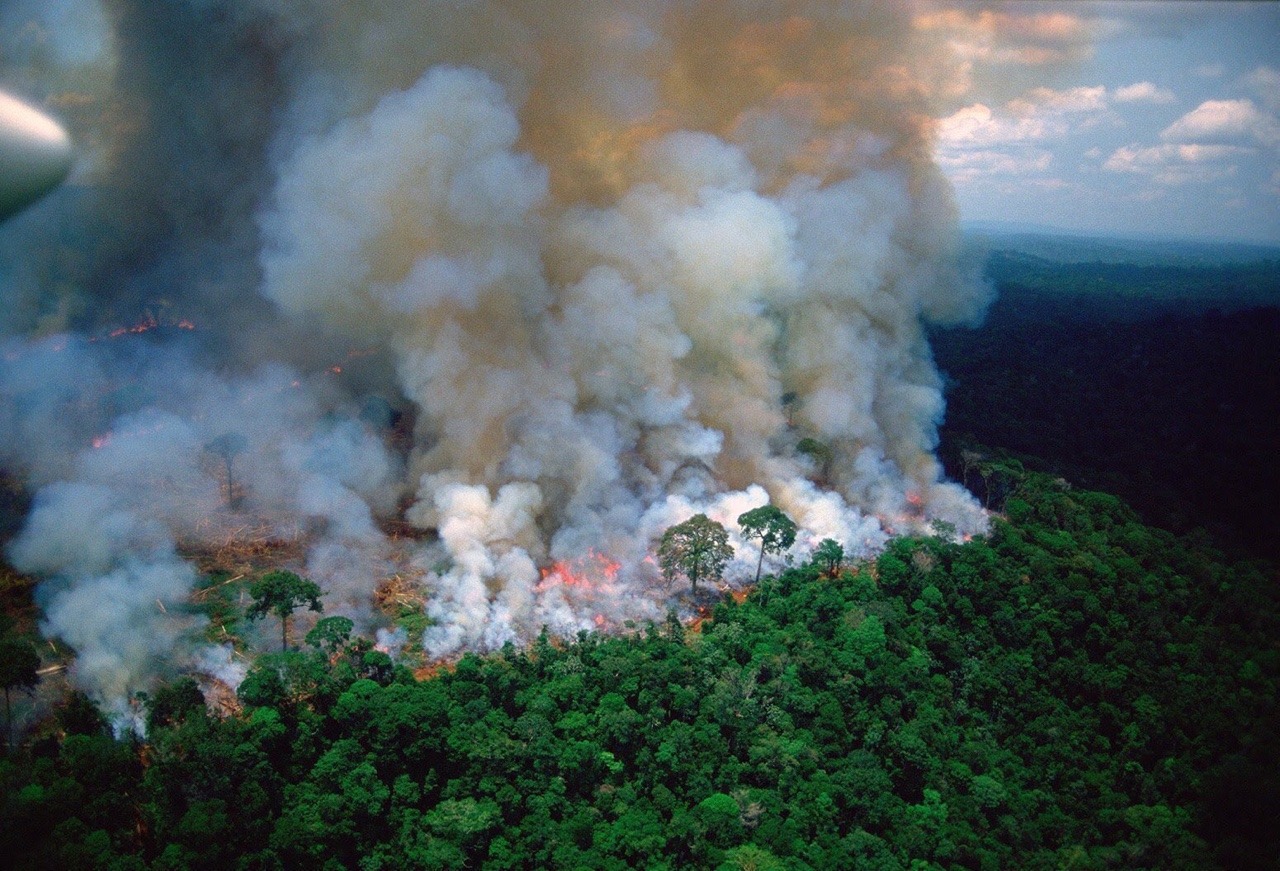 Porn doncosciotte:So, our Lung is on fire. It photos