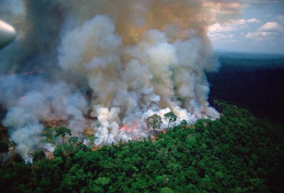 Porn Pics doncosciotte:So, our Lung is on fire. It