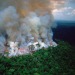 doncosciotte:So, our Lung is on fire. It is already threatened by huge deforestation,