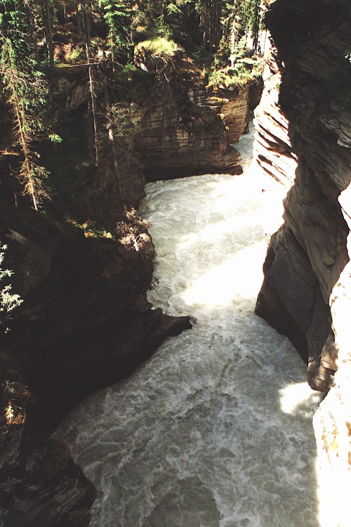 r2–d2:Athabasca Falls ^^