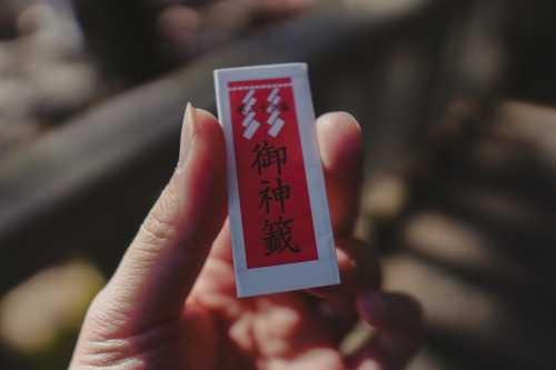 『御神木』sony a6400 + SIGMA 16mm F1.4 DC DN | Contemporary2022.01.05location : 静岡県 Shiuoka, Japan神社、事任八幡