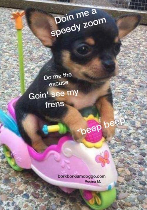 vaspider: errybody lookit me in mah wheelchair goin see all mah frens an pictures and statues and hi