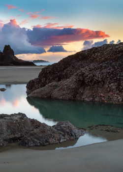 expressions-of-nature:  The Beach at Bandon