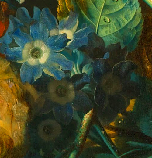 clara–lux:HUIJSUM, Jan van (1682-1749) Still Life, detailsbetween 1700 and 1749Oil on panel, 8