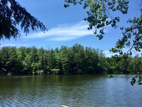 hikesbikesandadventures - Conasauga River Trail hike-to-bike,...