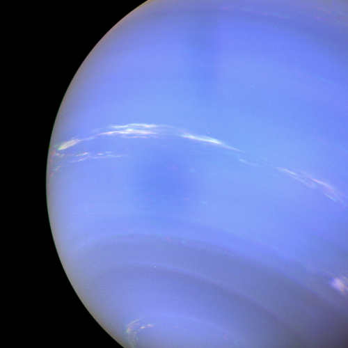 squid-star: neptune.