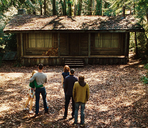 marty cabin in the woods