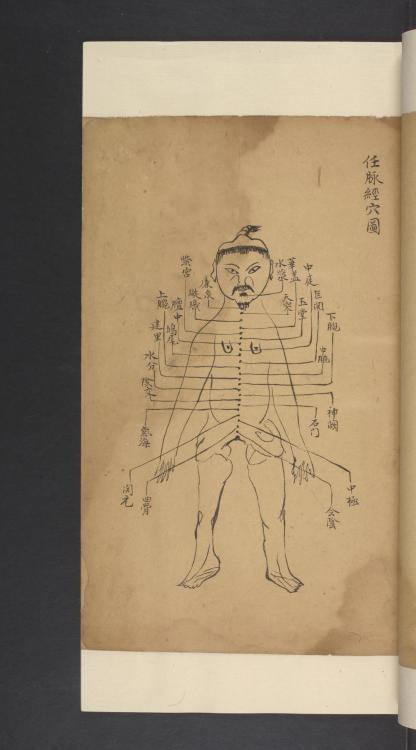 LJS 389, Shi si jing fa hui, is a treatise on the anatomy, physiology, and pathology of blood vessel