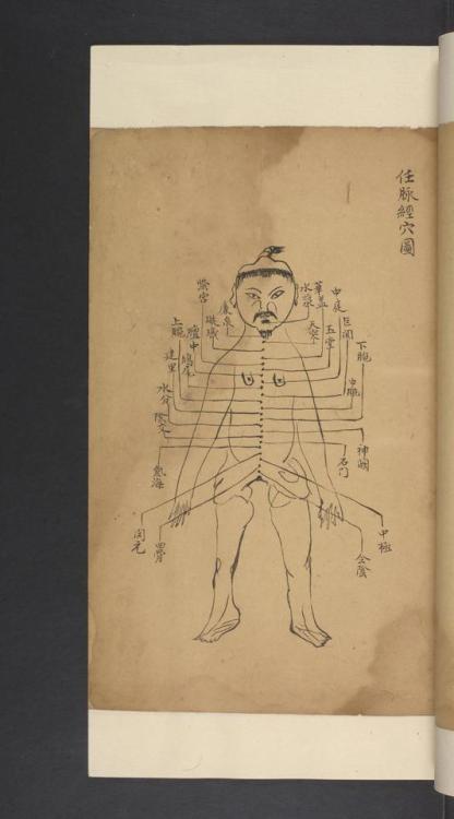 LJS 389 Shi si jing fa hui. Written in China after 1528.14th-century treatise on the anatomy, physio