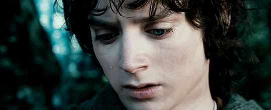 queermeup: The Lord of the Rings: The Fellowship of the Ring (2001), dir. Peter Jackson