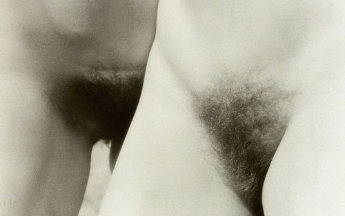 tiucoelho:Cynthia MacAdams