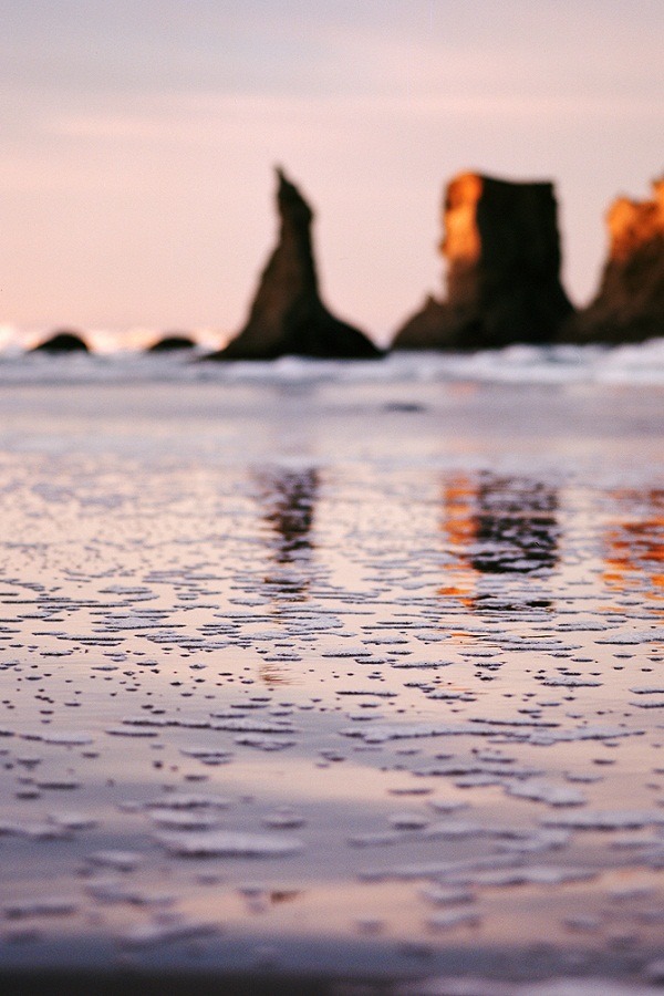 alecsgrg:  First light | ( by Danielle Hughson )