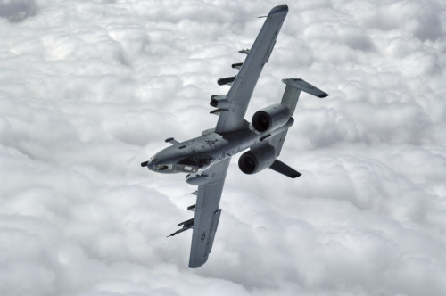 rocketumbl:  OA/A-10 