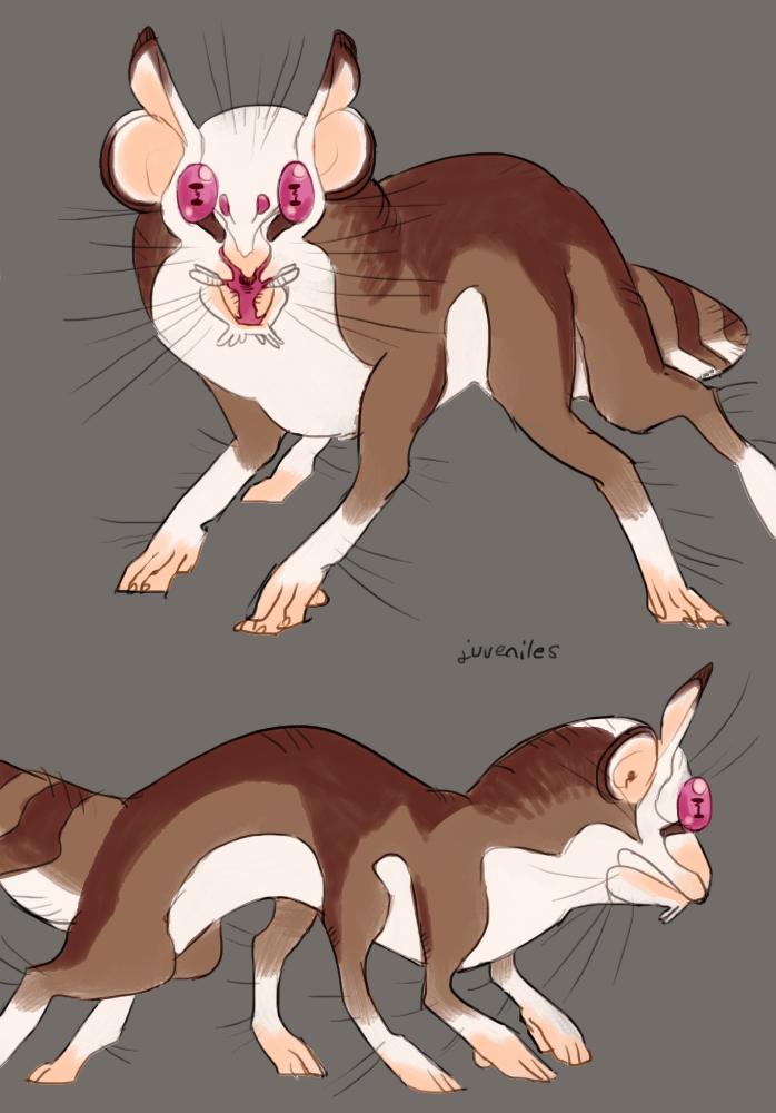 Jay Eaton / as a cat girl does Gillie have retractile claws