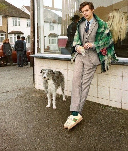 crystallinediamonds:Harry Styles for Gucci by Glen Lunchford