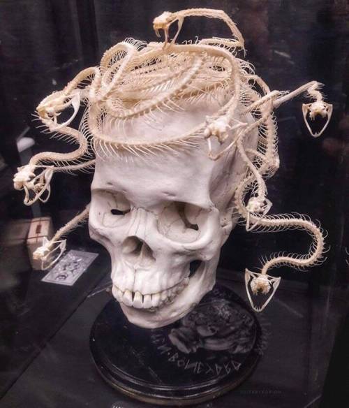 sixpenceee:“Medusa” by Tim Prince, @forgottenboneyard