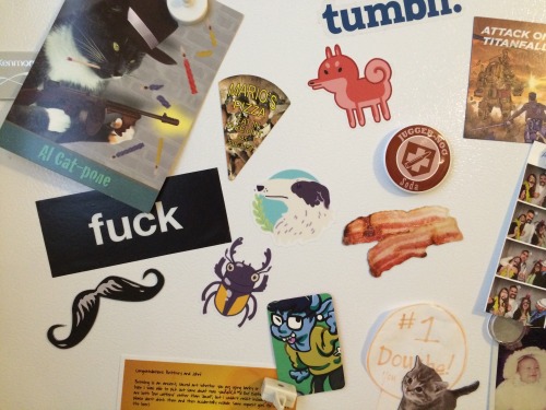 @nina-bee your stickers and stuff are slowly taking over my fridge :0