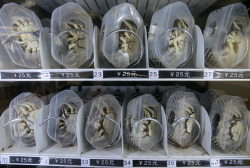 congenitaldisease:    A vending machine in China which sells live crabs.  