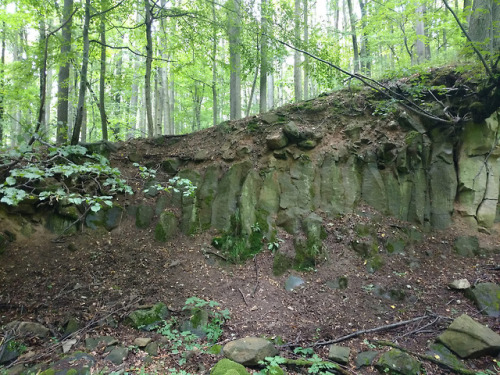 galswintha:Szyndziałowy Forest, Mszana and Obłoga nature reserve.Oldquarriy of Neogene basalts with 
