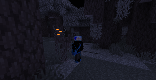 Do You Guys Like My Minecraft House? I Sure Hope There's Nothing Creeping Up Behind Me When I'm Not Looking!