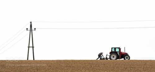 The Sower by kurthinterreither