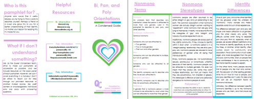 queercondensed: [Image Description:  A preview of a pamphlet entitled “Bi, Pan, and Poly Orientation
