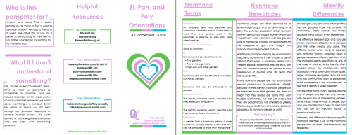 [Image Description:  A preview of a pamphlet entitled “Bi, Pan, and Poly Orientations,” with the fro