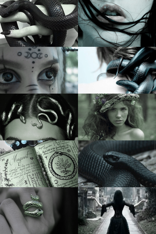 skcgsra:snake witch aesthetic(more here)