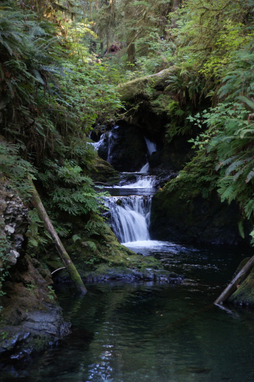frommylimitedtravels:Small waterfall in the rainforest.