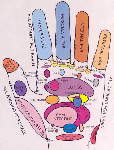 holo-okami:Your Guide To Hand & Foot Reflexology>> BEATS goo.gl/rVh07T>> Foll