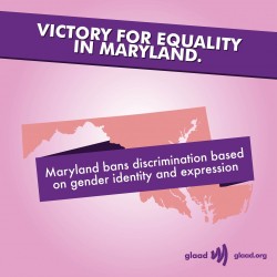 shannibal-cannibal:  dreamsofamadgirl:  glaad:  The Maryland House of Delegates passed a bill that would ban discrimination against transgender people.   Nicely done MD!  aw yiss my state 