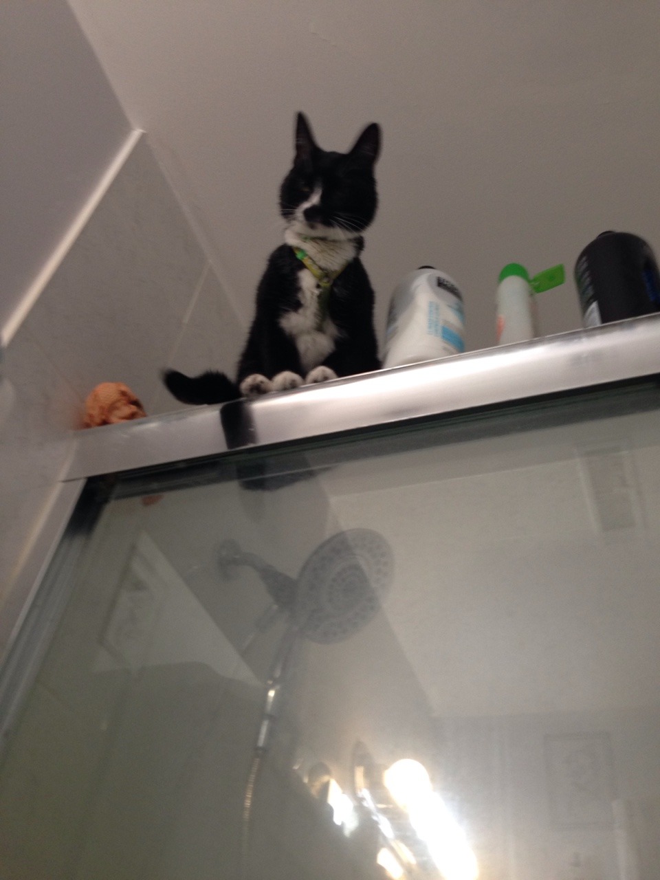 lulujynxgemini:  I was going to the bathroom and heard a crash. I looked up to see