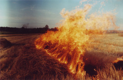 attaches:  fire by la.room on Flickr. 