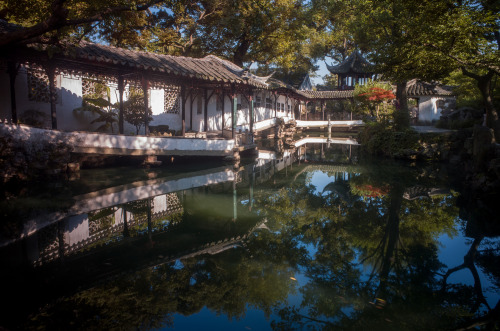 fuckyeahchinesegarden:Mingcat  Chinese garden