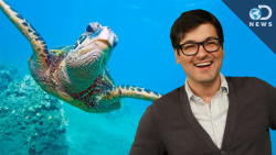 discoverynews:  The Ocean is in Danger! Check in with DNews’ Anthony to find out why…  