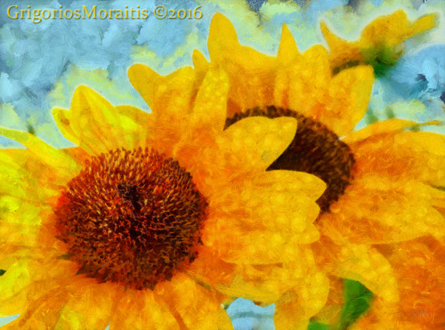 Sunflowers
shop Art Prints & home decor
check for image license