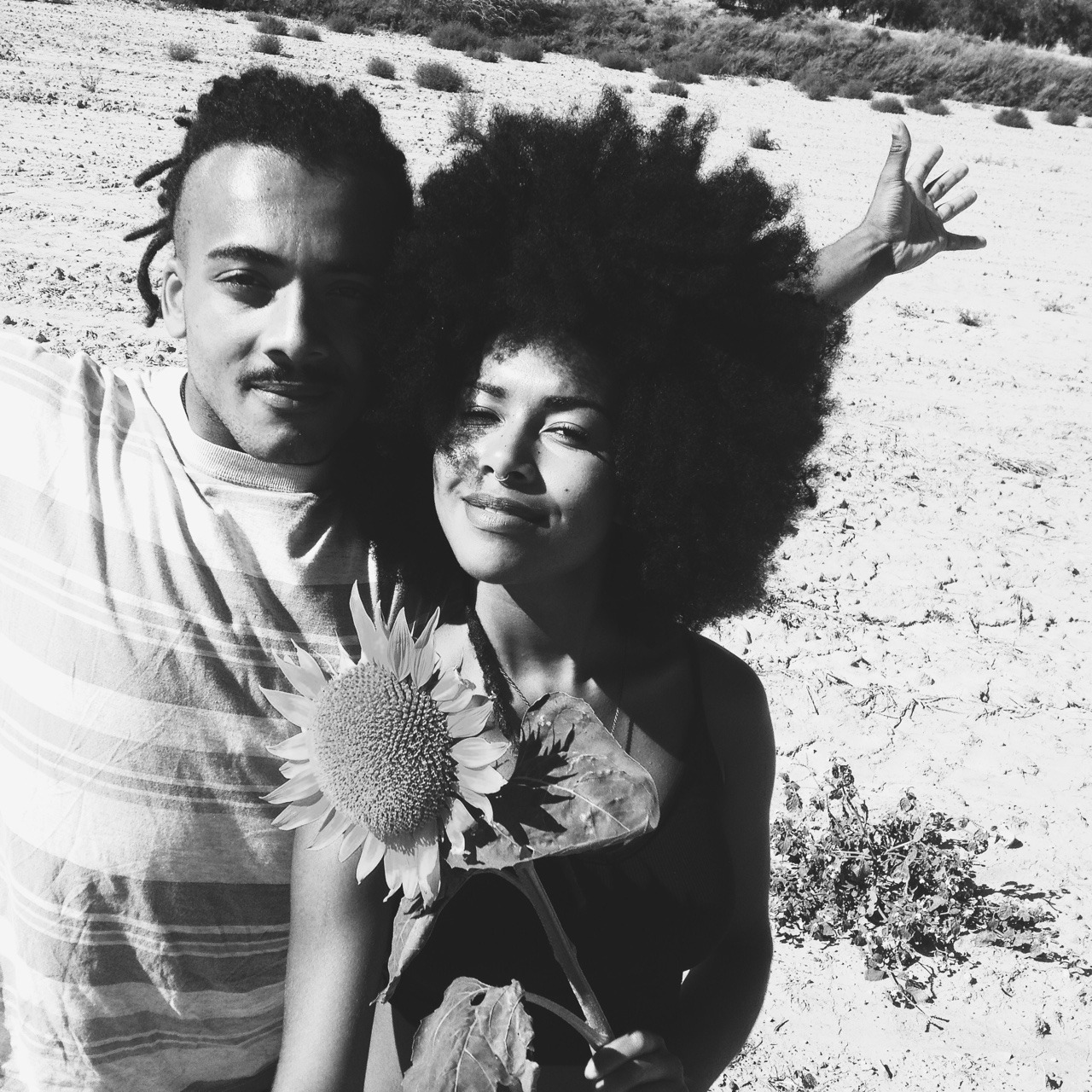 queenevea:  Omg that sunflower is huge.