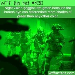 tacticaledcbob:  #FunFact #funfacts #fact