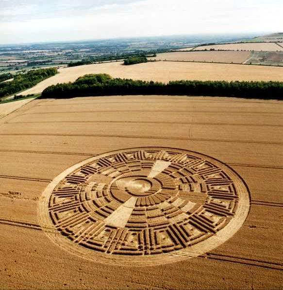 vraieronique:L’ Art, aussi, est dans le pré ..!