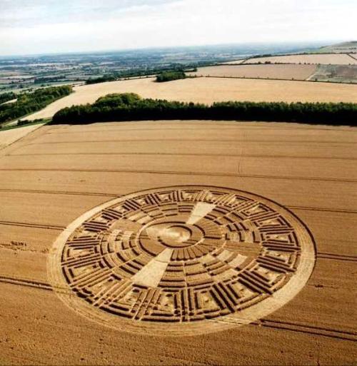 vraieronique:L’ Art, aussi, est dans le pré ..!